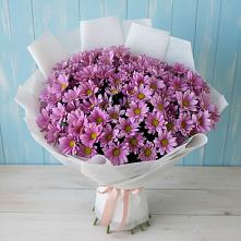 Букет цветов из:  Хризантемы #REPLACE_PRED# Игумново