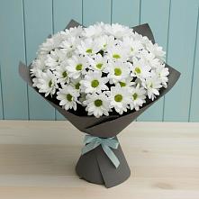 Букет цветов из:  Хризантемы #REPLACE_PRED# Игумново