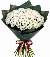 Букет цветов из:  Хризантемы #REPLACE_PRED# Игумново