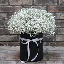Цветочная композиция из Гипсофила в шляпной коробке #REPLACE_PRED# Игумново