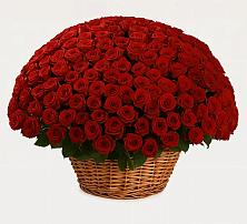 Премиум букет из: Розы в Игумново